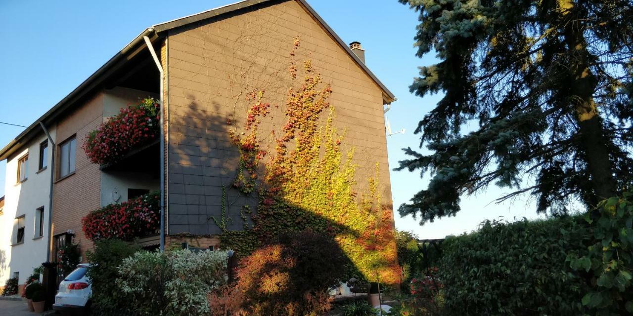 Ursula'S Ferienwohnung Marpingen Экстерьер фото